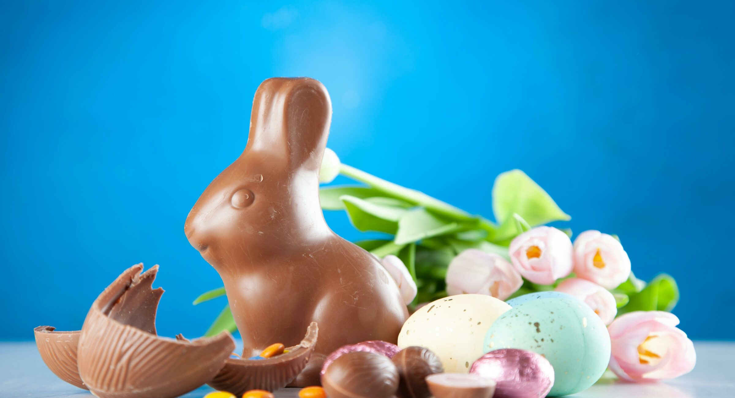 A delightful Easter scene with a chocolate bunny, colorful eggs, and pink tulips on a blue background.